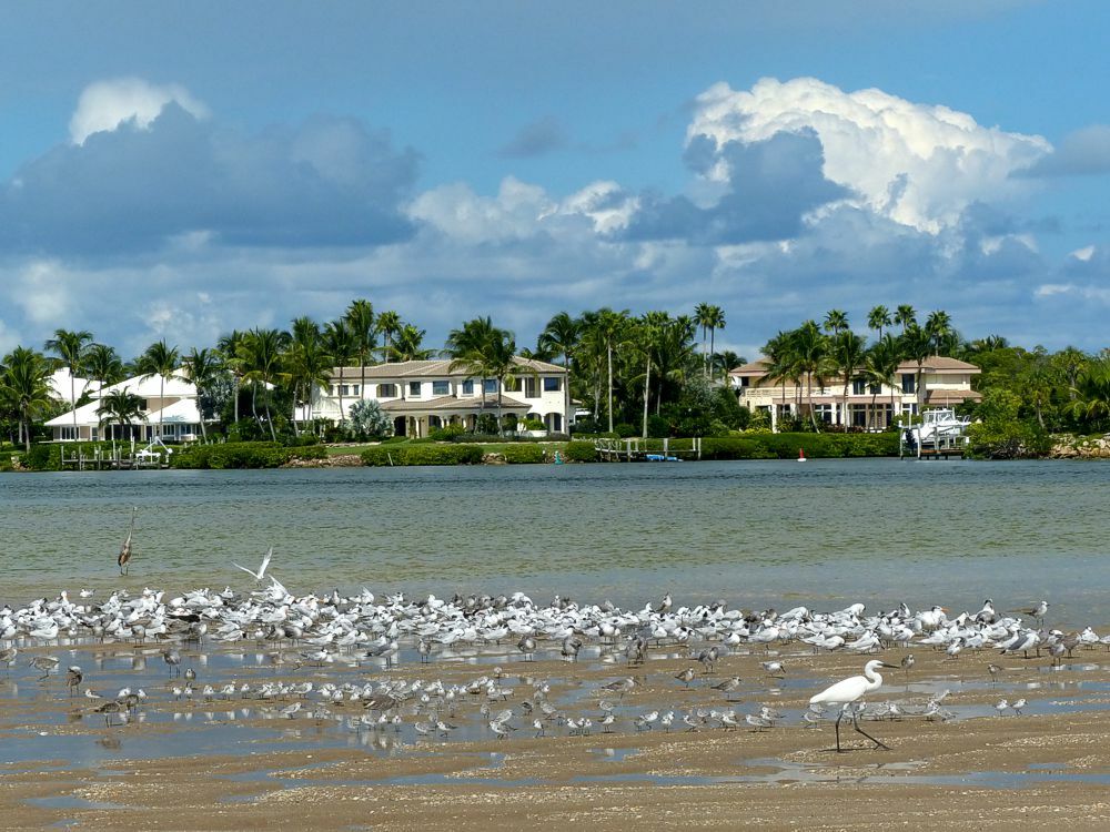 Click to See Next Image